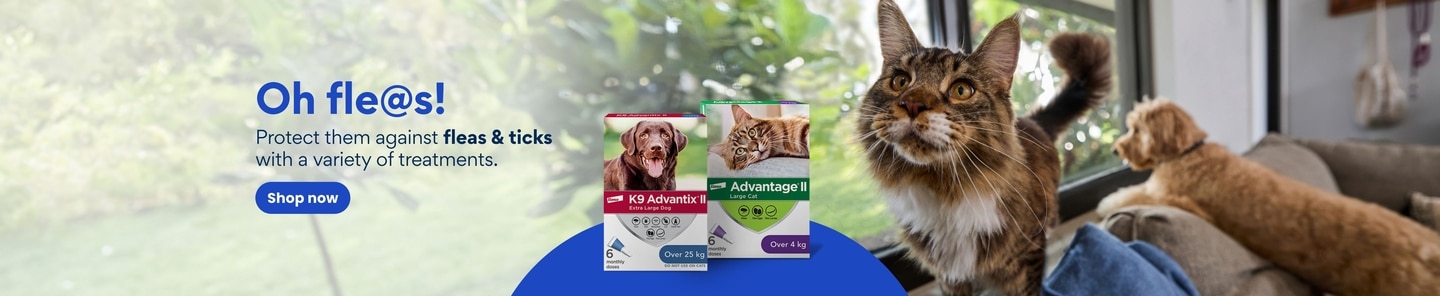 Oh fleas! Protect them against fleas and ticks with a variety of treatments. Shop now.