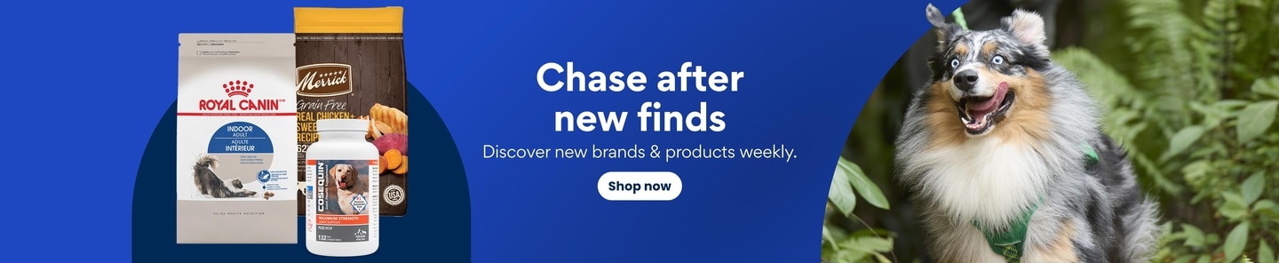Chase after new finds. Discover new brands and products weekly. Shop now.